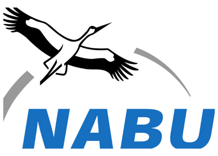 Nabu Logo