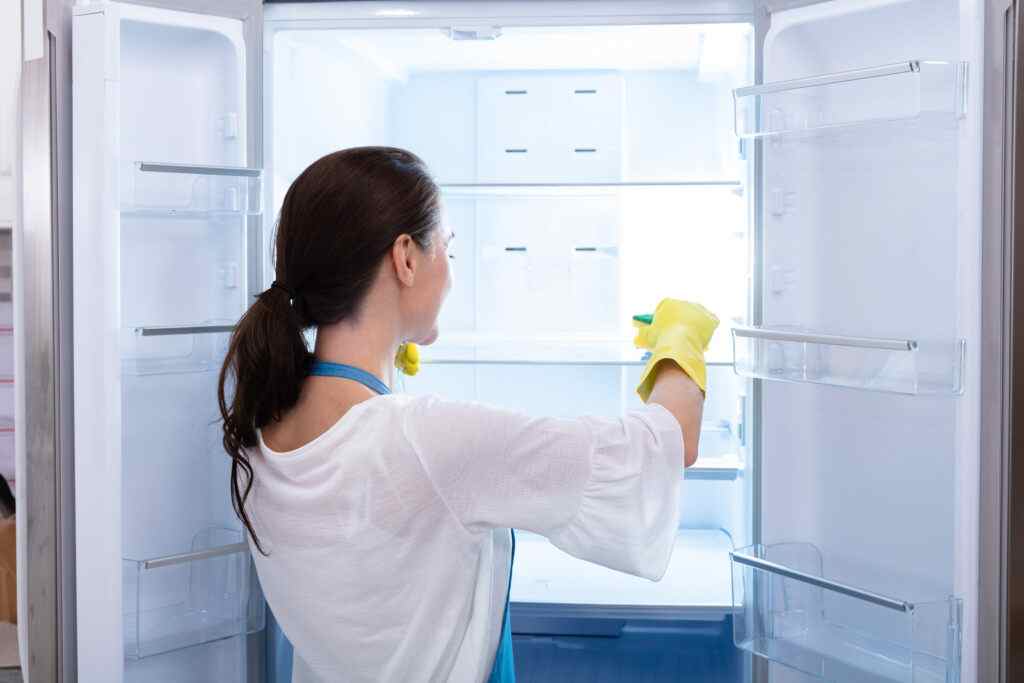 Reinigung Kühlschrank