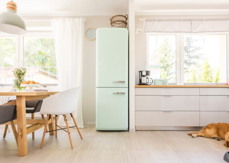 Mintgrüner Retro-Kühlschrank in offener Wohnküche