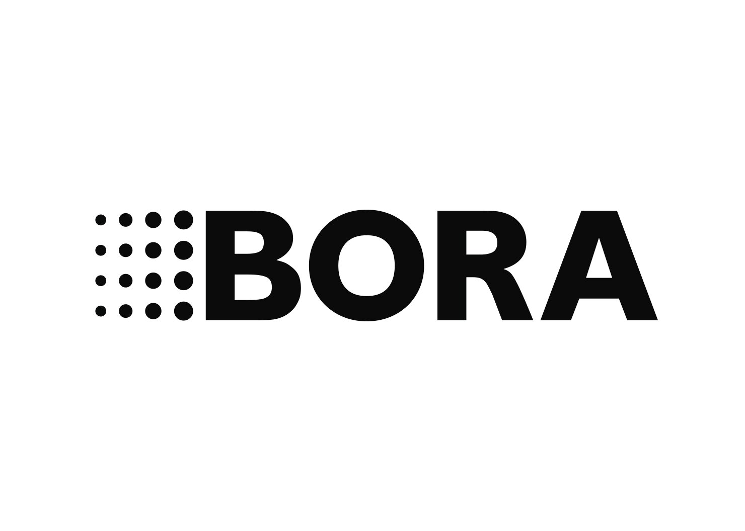 bora-logo