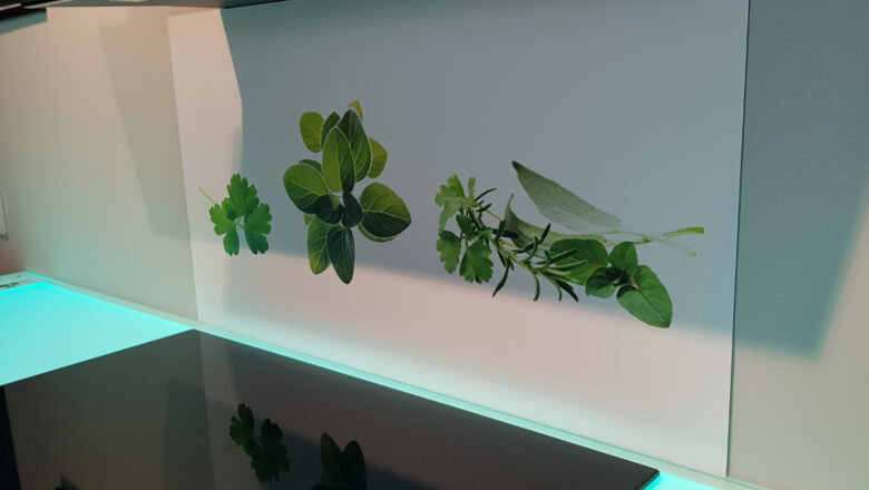 Nischenrückwand mit aufgedrucktem Kräutermotiv